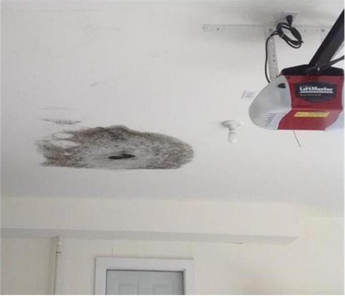 black, large mold damage on ceiling of garage