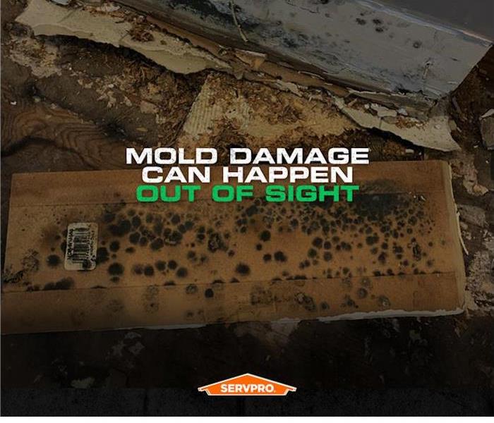 mold on the wall, SERVPRO logo